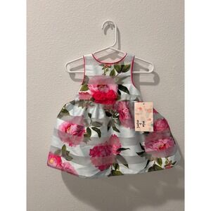 Mia & Mimi Baby Girls Floral Organza Stripe Dress Pink White 12M NWT